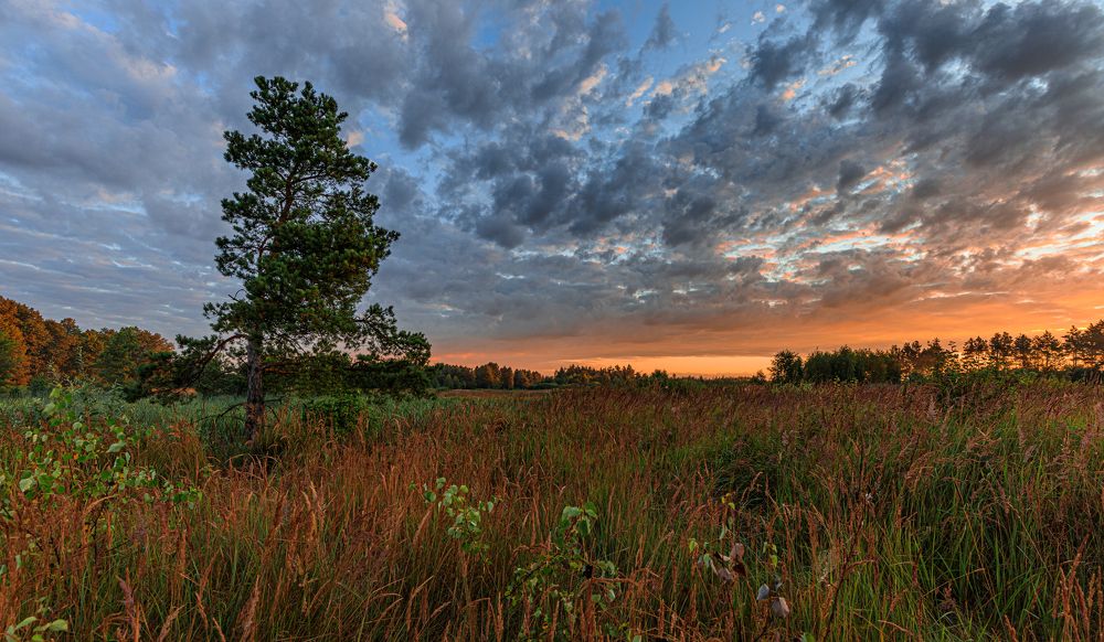 Photograph by Евгений Патрешов