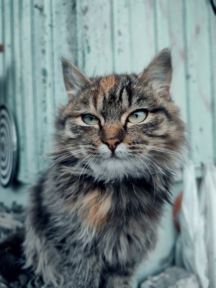 Photograph by Надежда Кинах