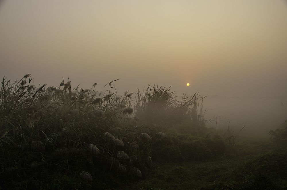 Photograph by Trina sanyal