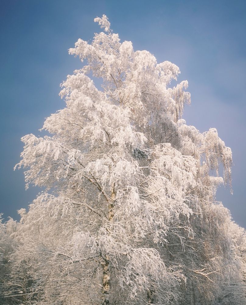 Photograph by Татьяна Чернышова