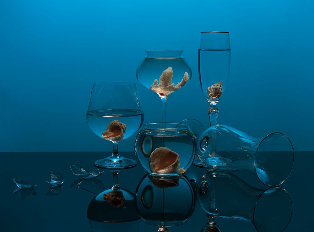 Иллюзия океана