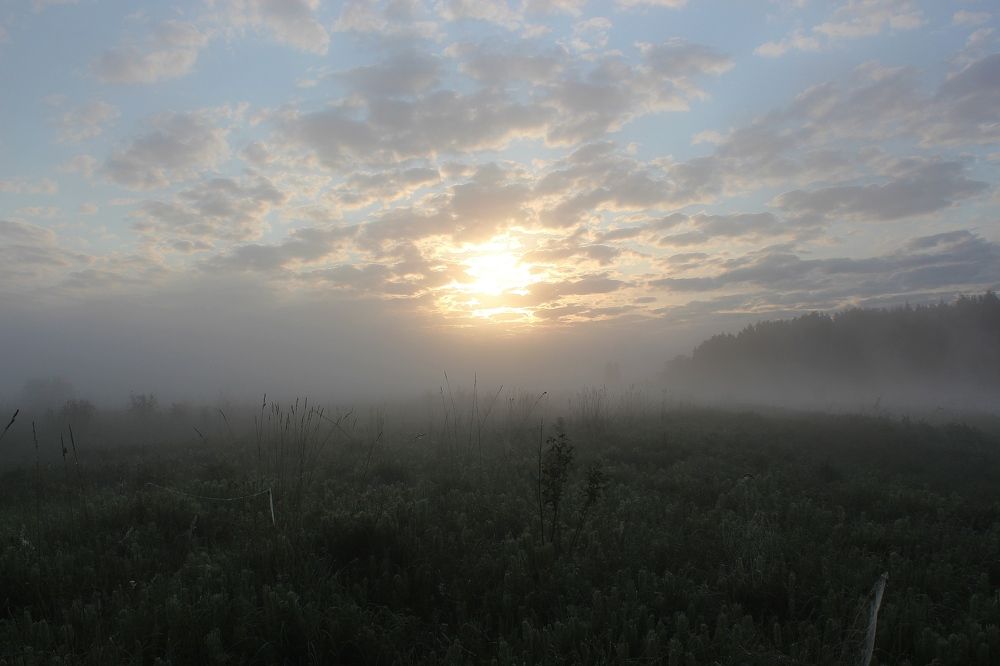 Photograph by Любовь Перевозникова