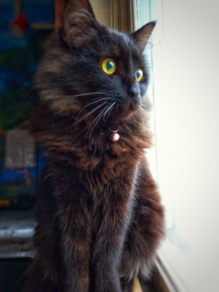 Photograph by Сергій Гостроушко