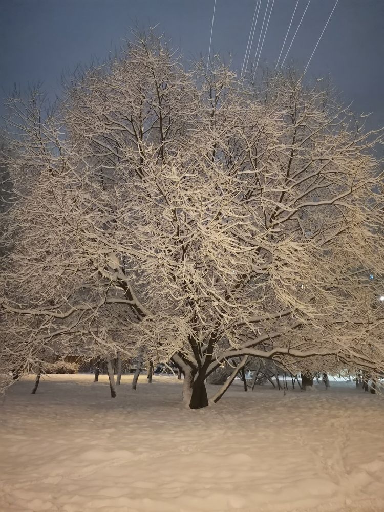 Photograph by Екатерина Слепнева