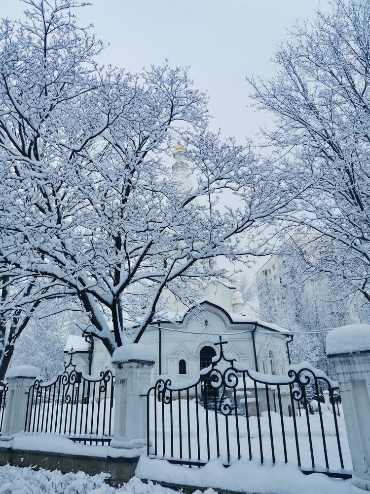 Photograph by Екатерина Слепнева