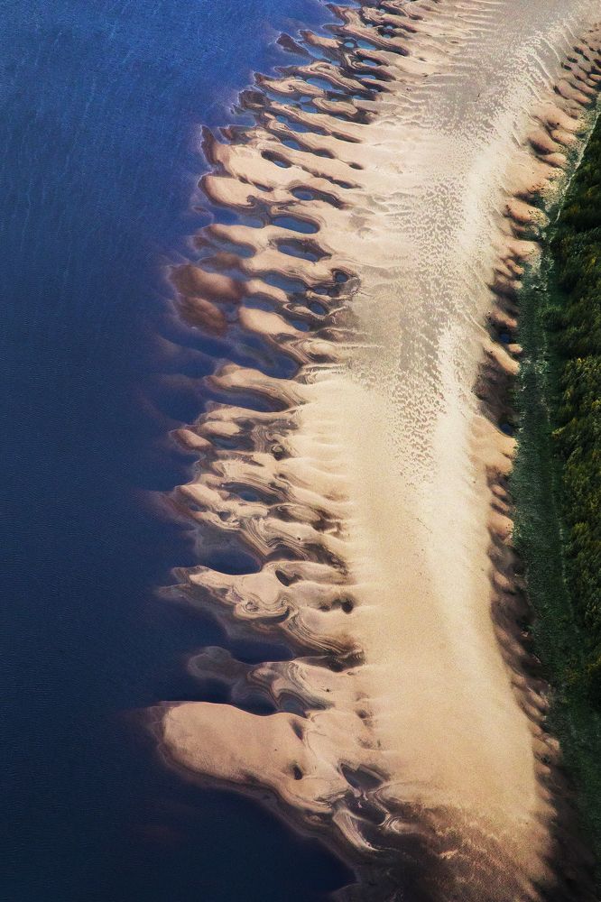 Photograph by Сергей Чарушин