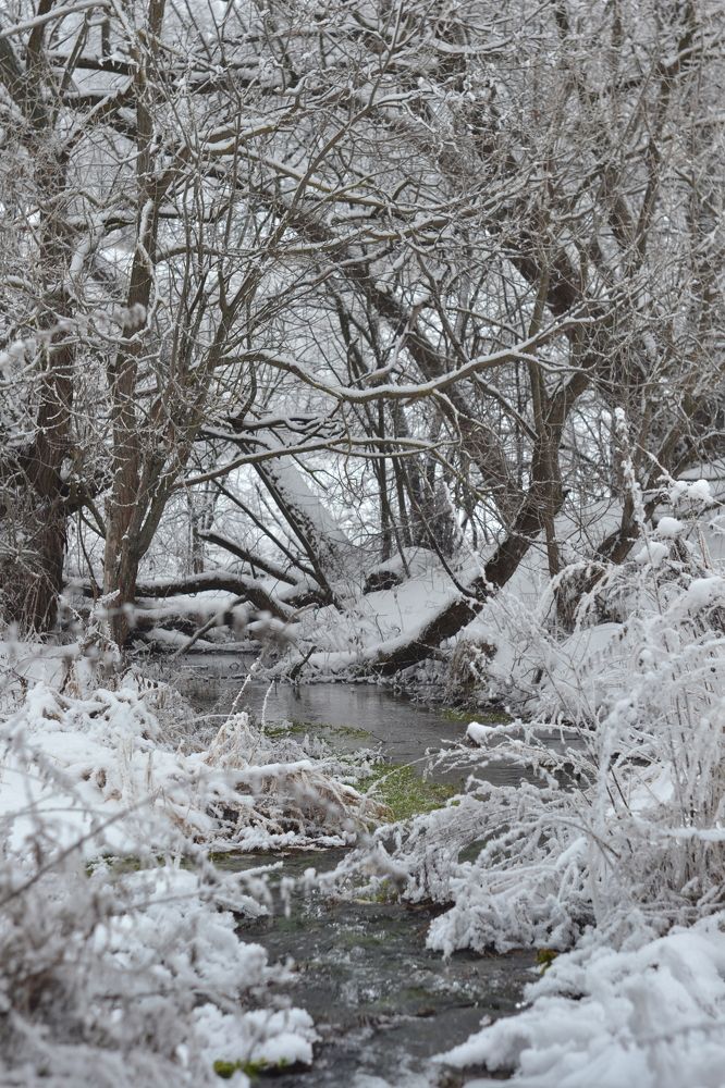 Photograph by Надежда Смелова