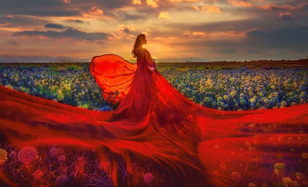 Photograph by mohammad esteki