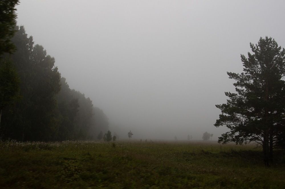 Фотография автора Екатерина Першина