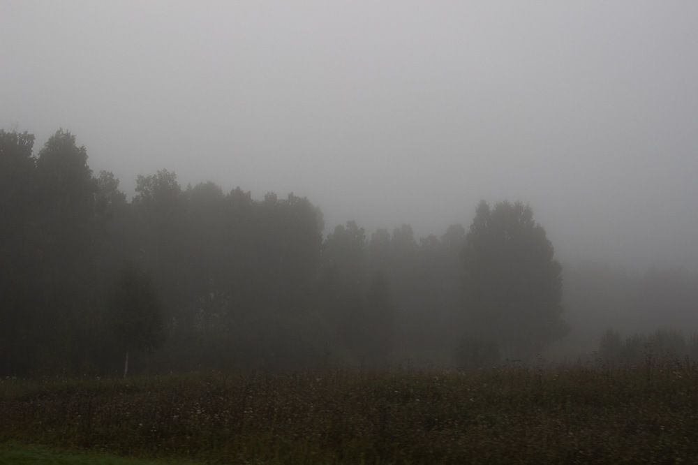 Фотография автора Екатерина Першина