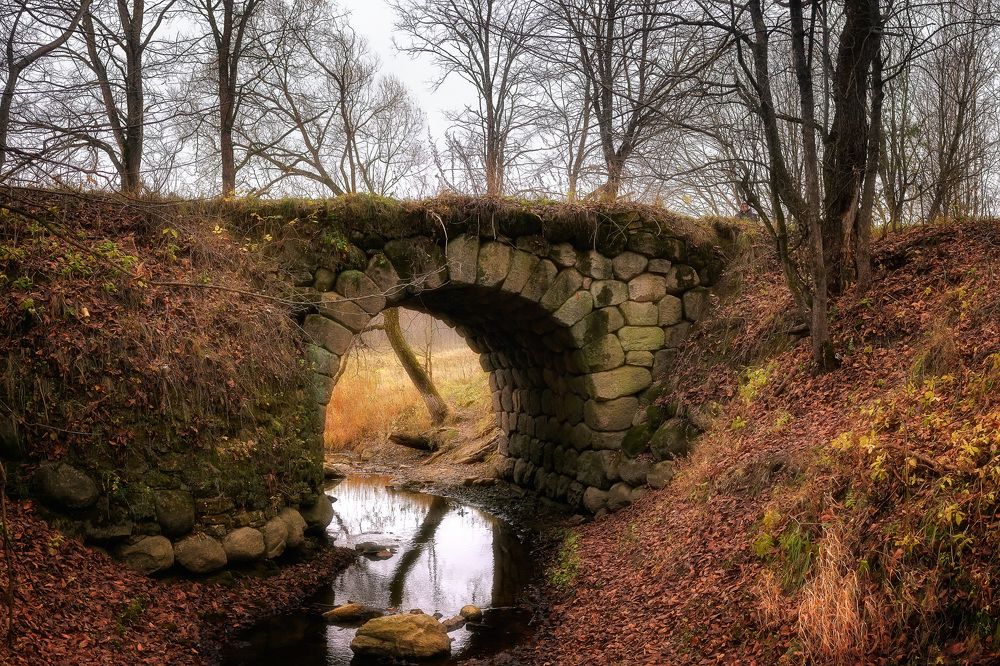 Photograph by Андрей Баскевич