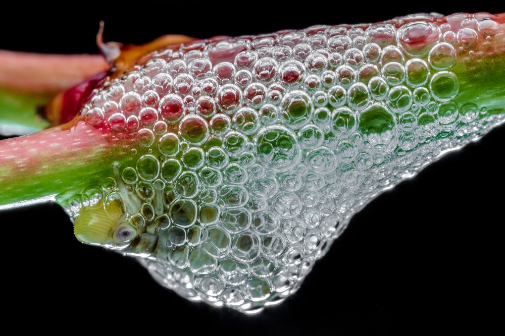 Photograph by Wan Ting Lim