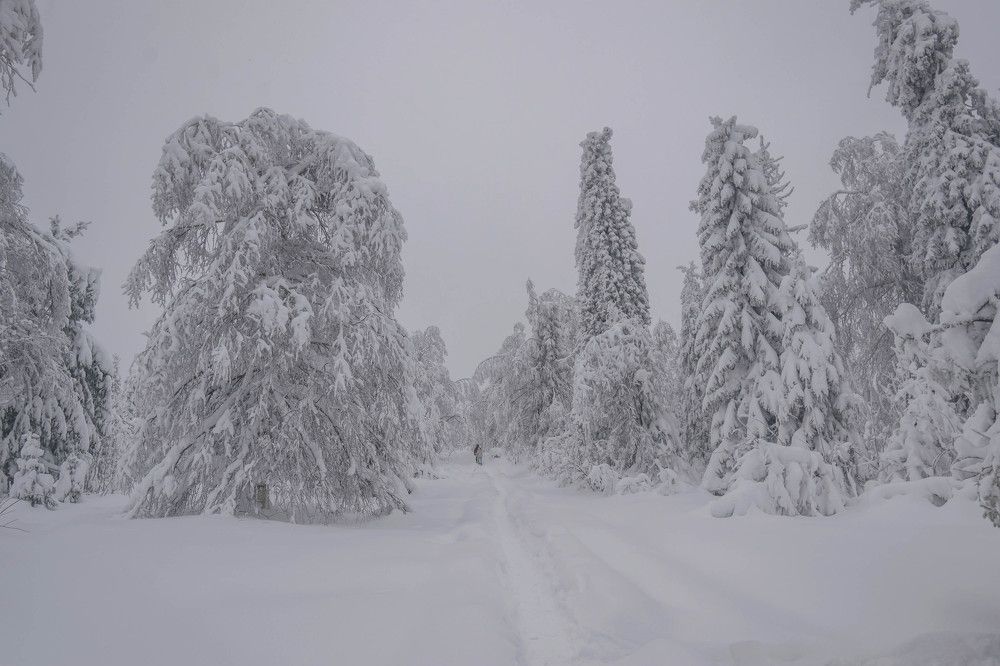 Photograph by Alexandere1