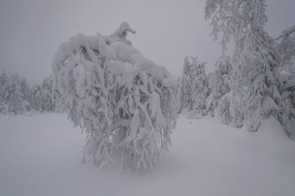 Photograph by Alexandere1