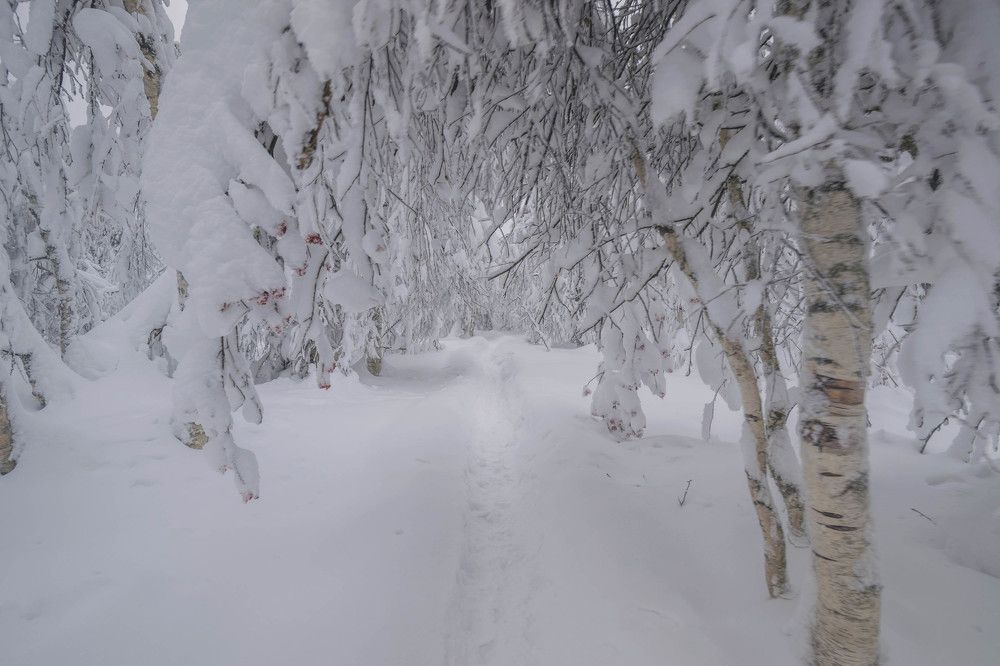 Photograph by Alexandere1