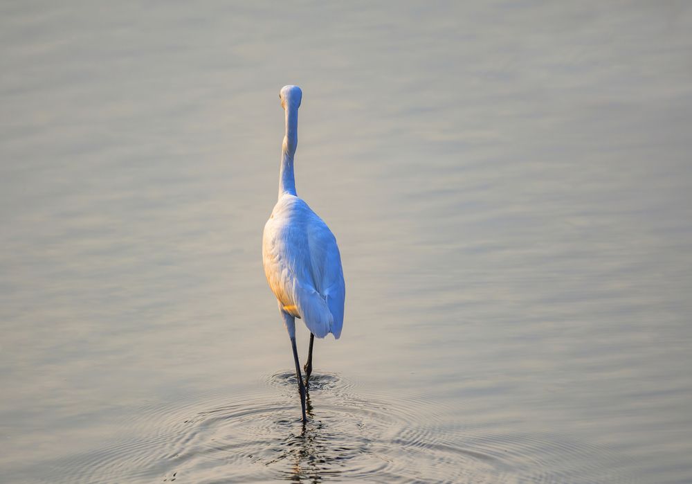 Photograph by G N RAJA