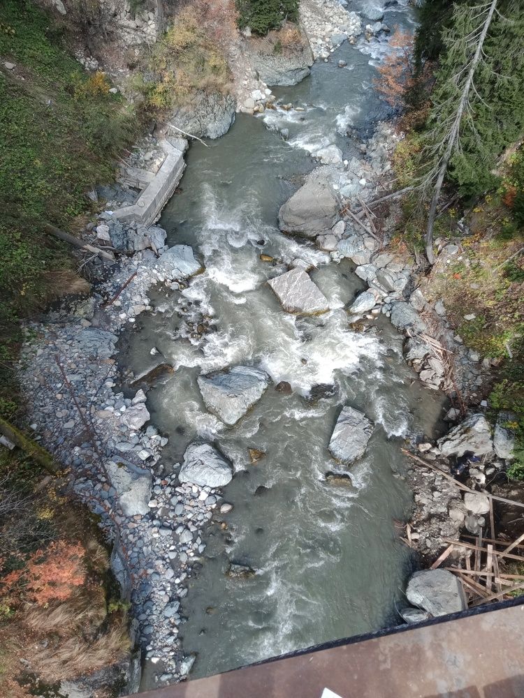 Photo #6903290