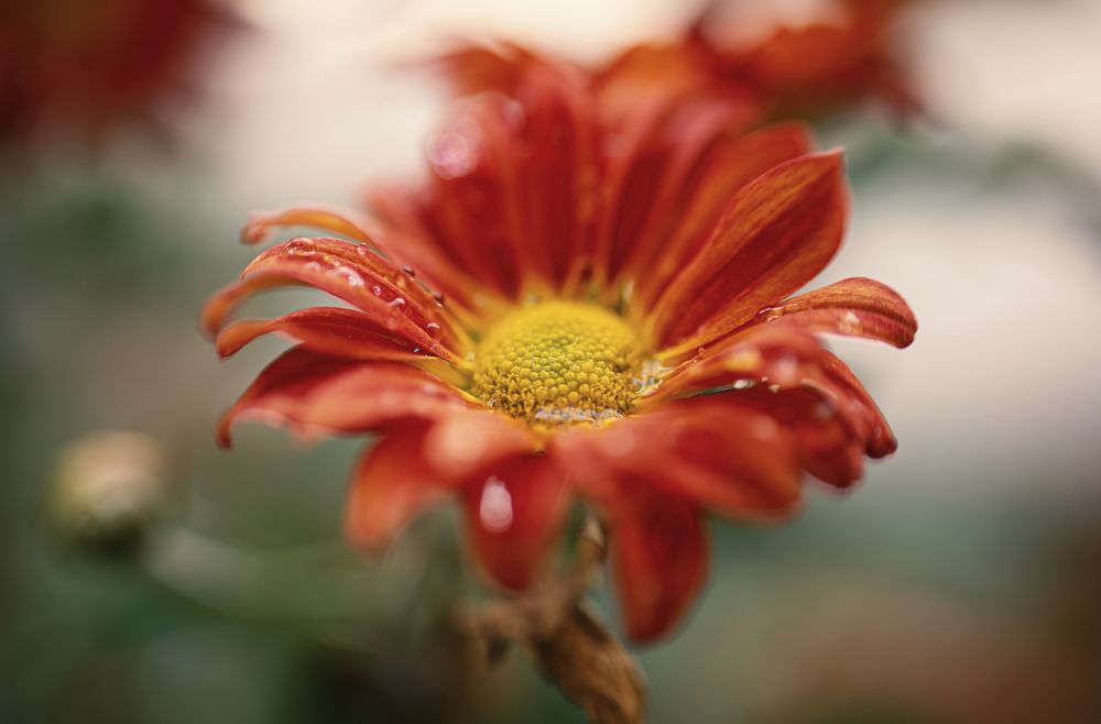 Photograph by G N RAJA