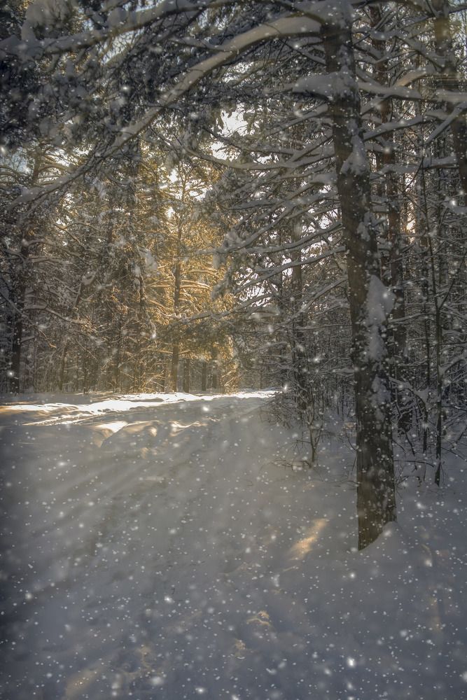 Photograph by Андрей Родионов