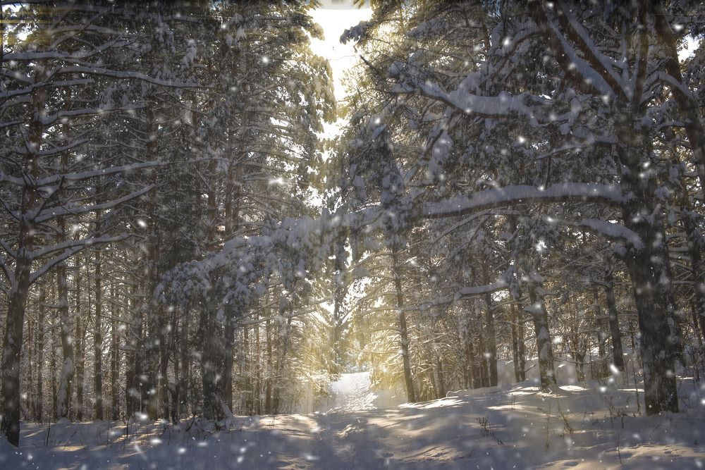 Photograph by Андрей Родионов