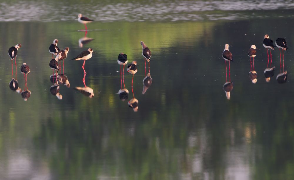 Photograph by G N RAJA