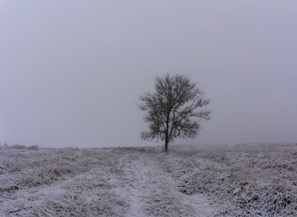 Photograph by Виктор Зотов