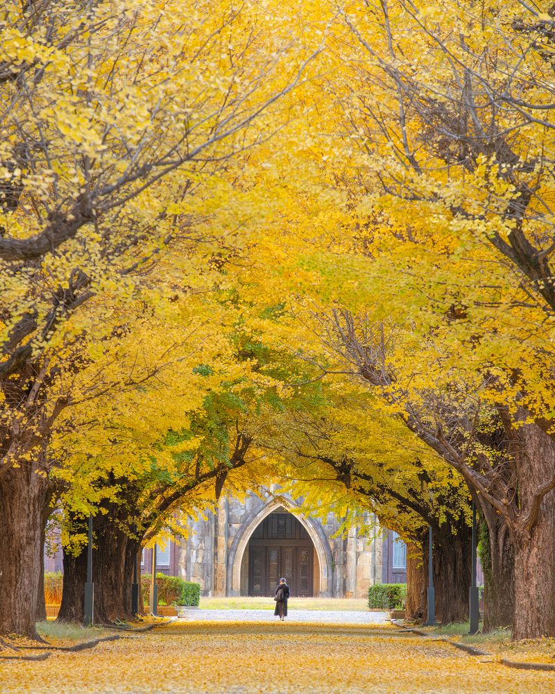 Photograph by Phùng Minh Long