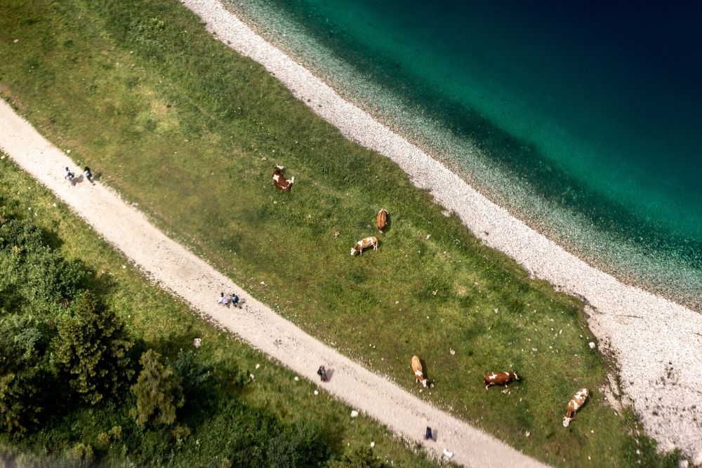 Photograph by Ксения Лаевская