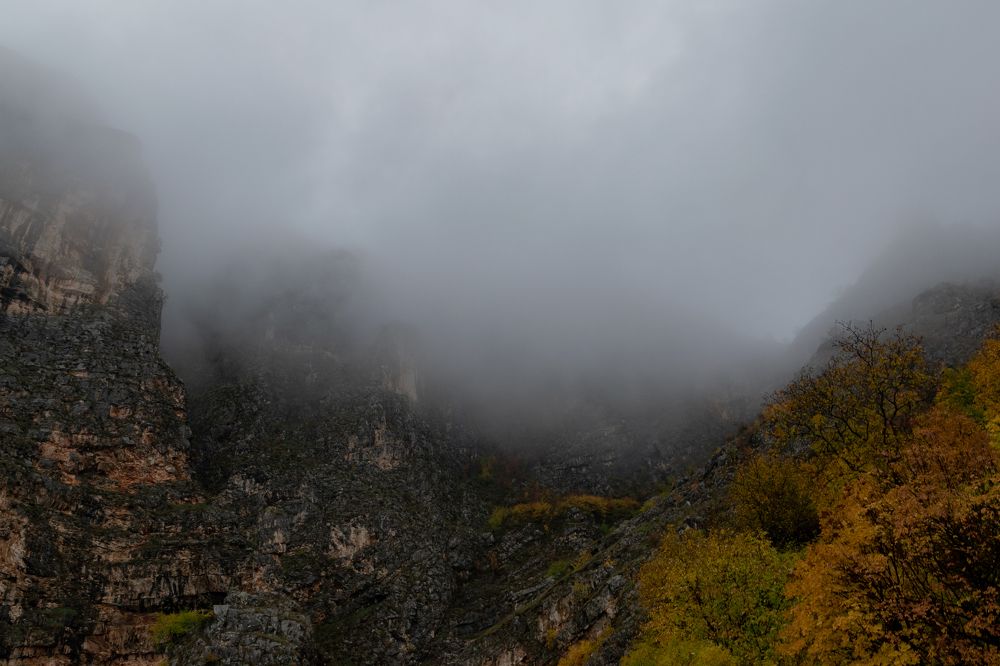 Photograph by Jasmin Džebo