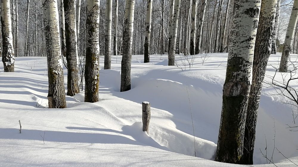 Photograph by Сергей