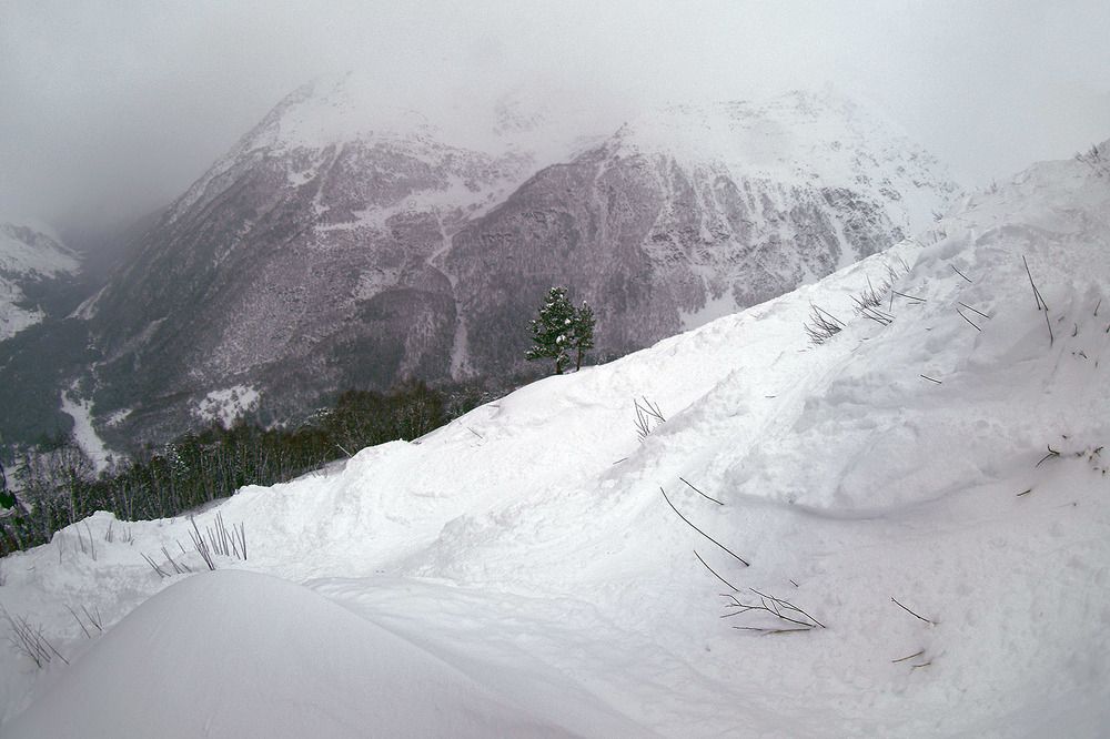 Photograph by Евгений Киселев