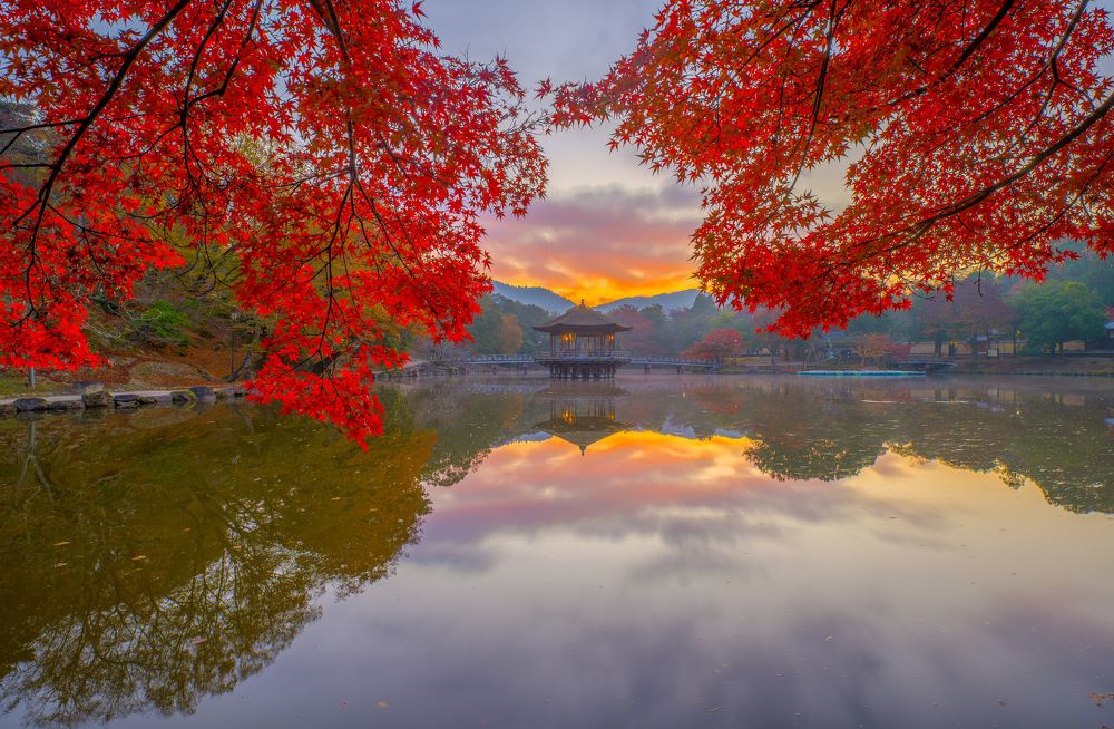 Photograph by Phùng Minh Long