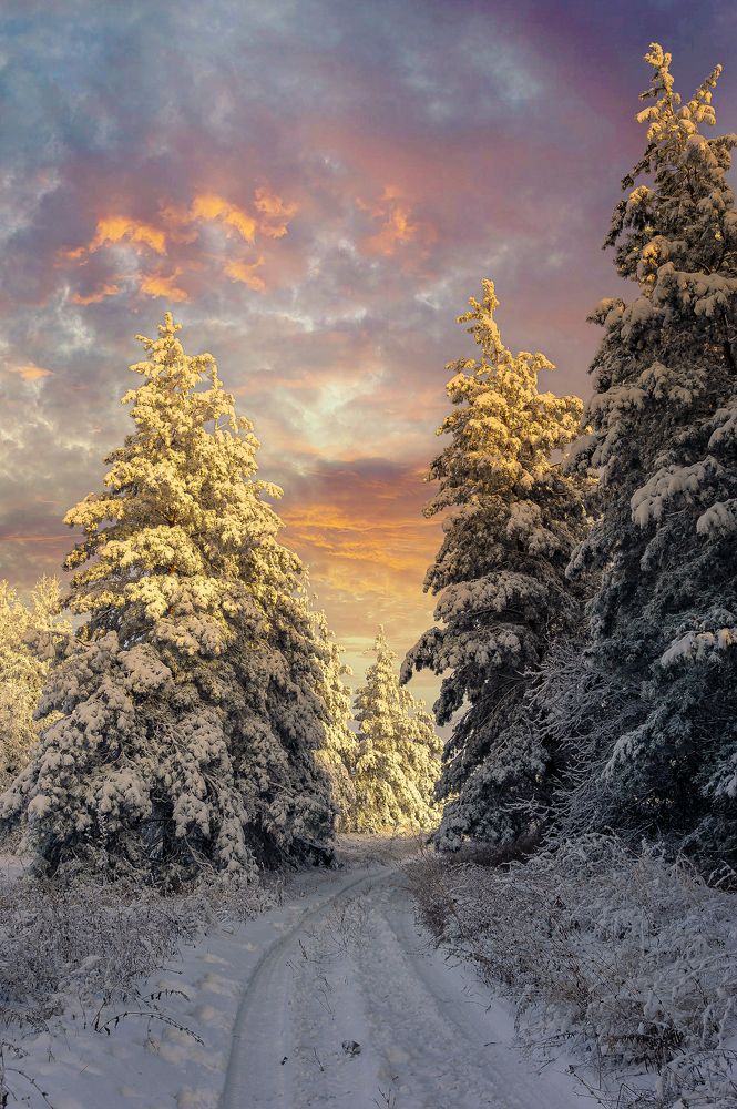 Фотография автора Андрей Лепилин