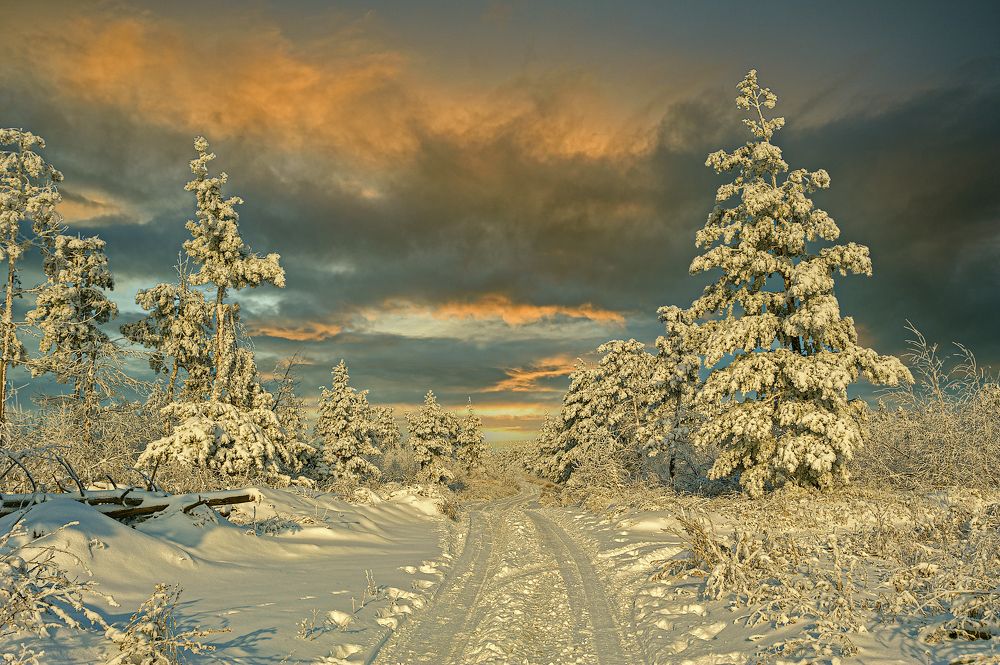 Фотография автора Андрей Лепилин