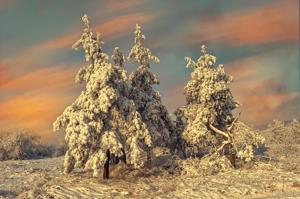 Фотография автора Андрей Лепилин