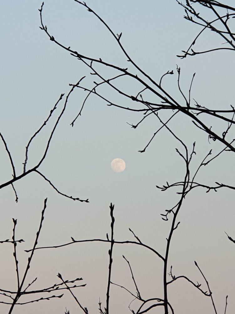 Photograph by Елена Димова