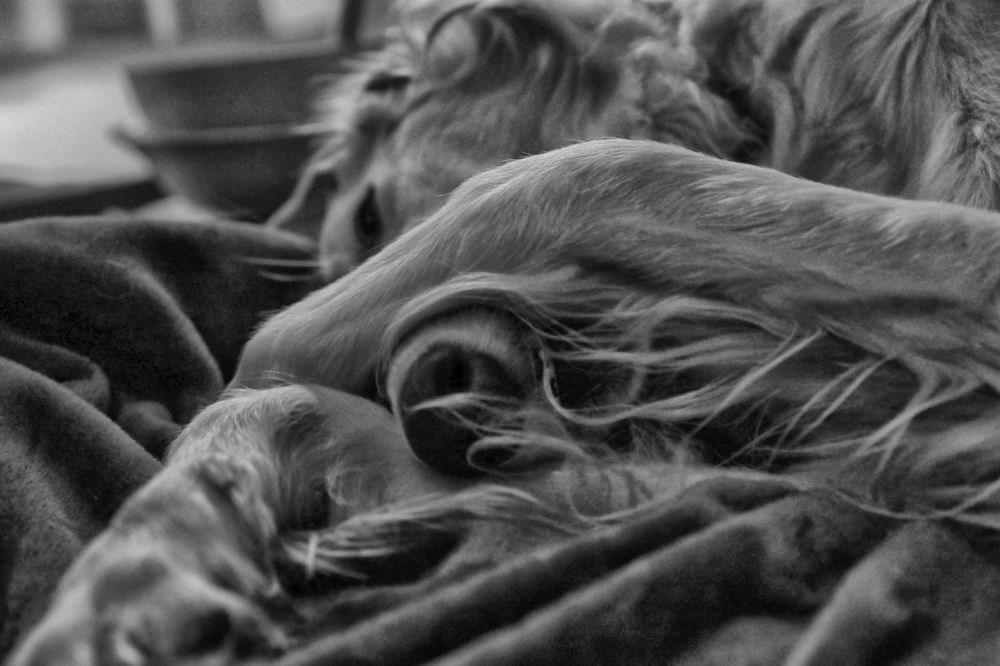 Photograph by Ольга Галецкая