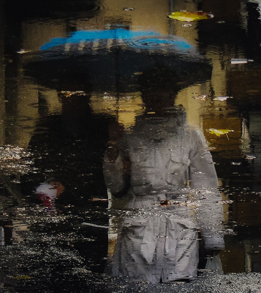 Photograph by Михаил Заброцкий