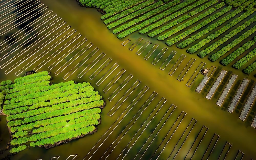 HEART OF SUSTAINABILITY