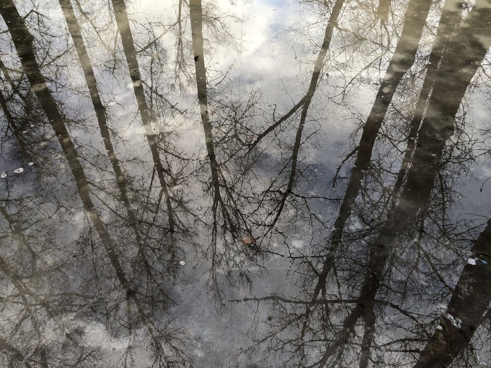 Photograph by Надежда Заломаева