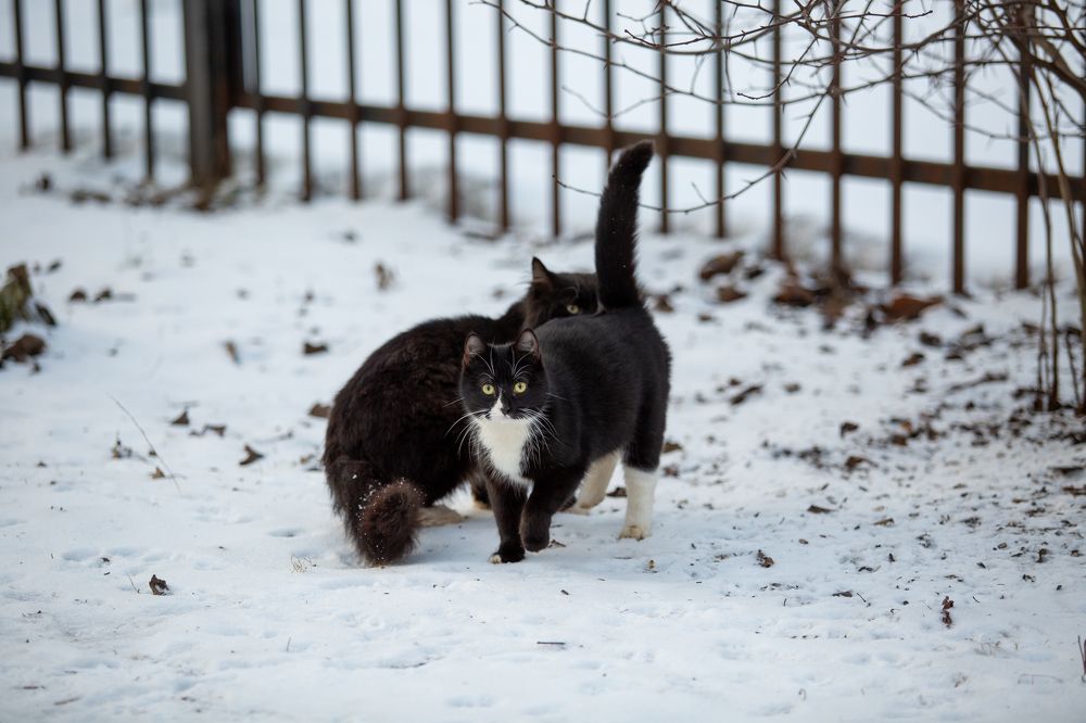 Photograph by Надежда Заломаева