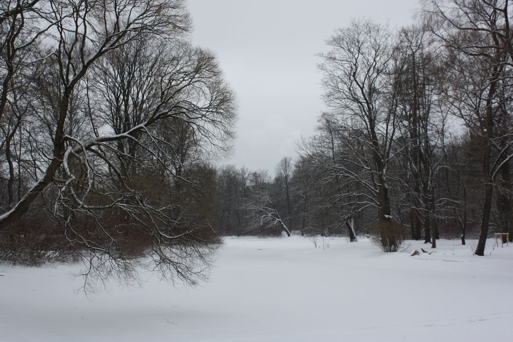 Елагинский парк. Что-то почти из зимних голландцев. Но без людей на полотне.
