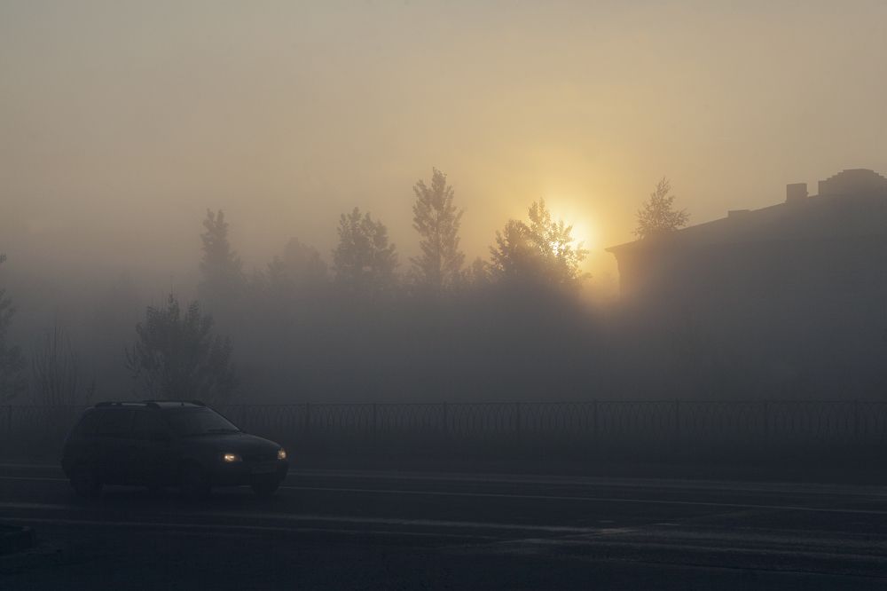 Photograph by Elvira Maksimova