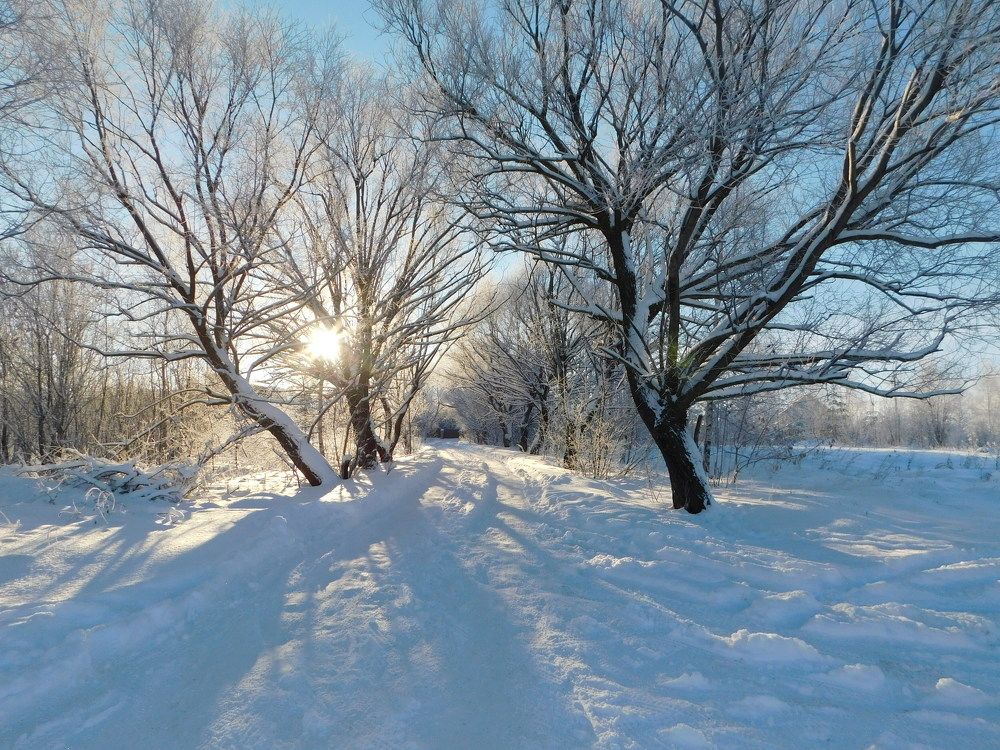 Photograph by Елена Любимцева