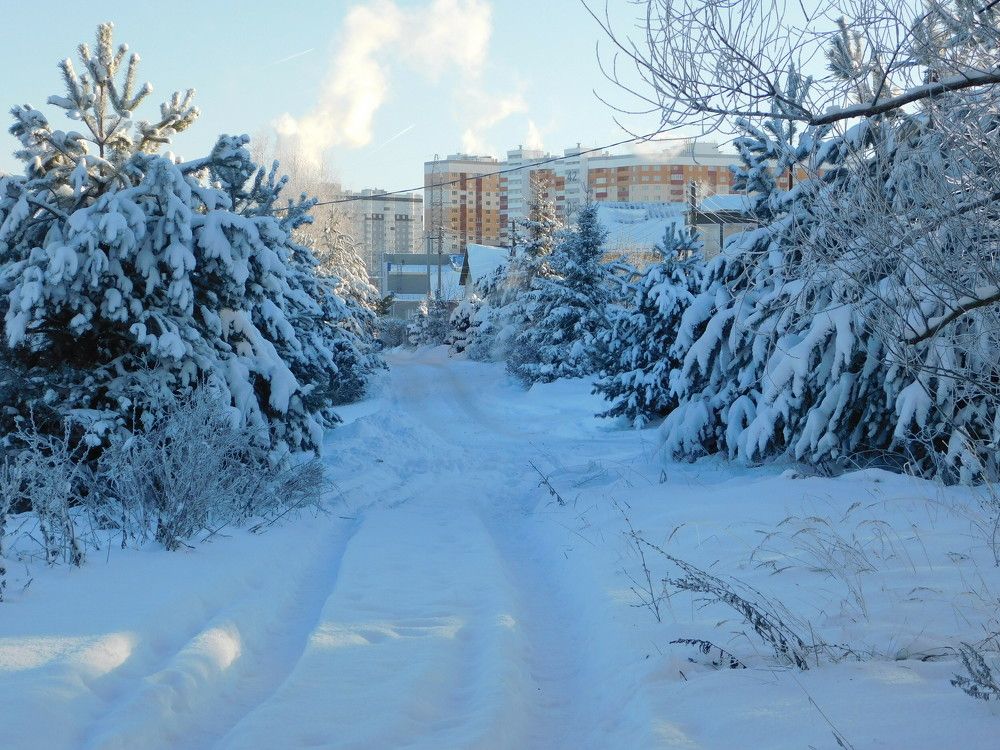 Photograph by Елена Любимцева