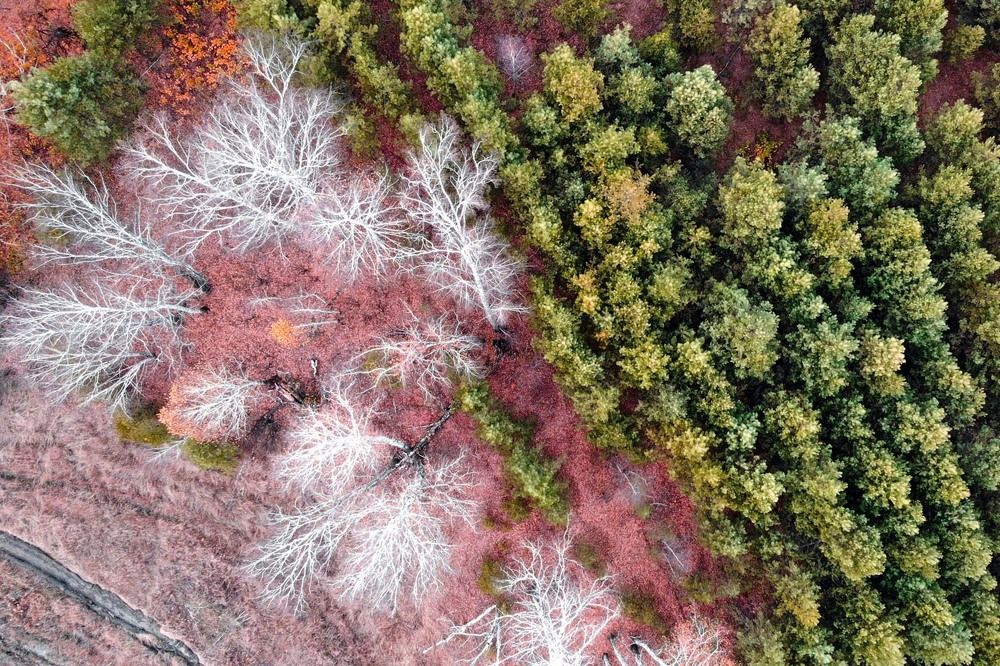 Фотография автора Татьяна Добровольская