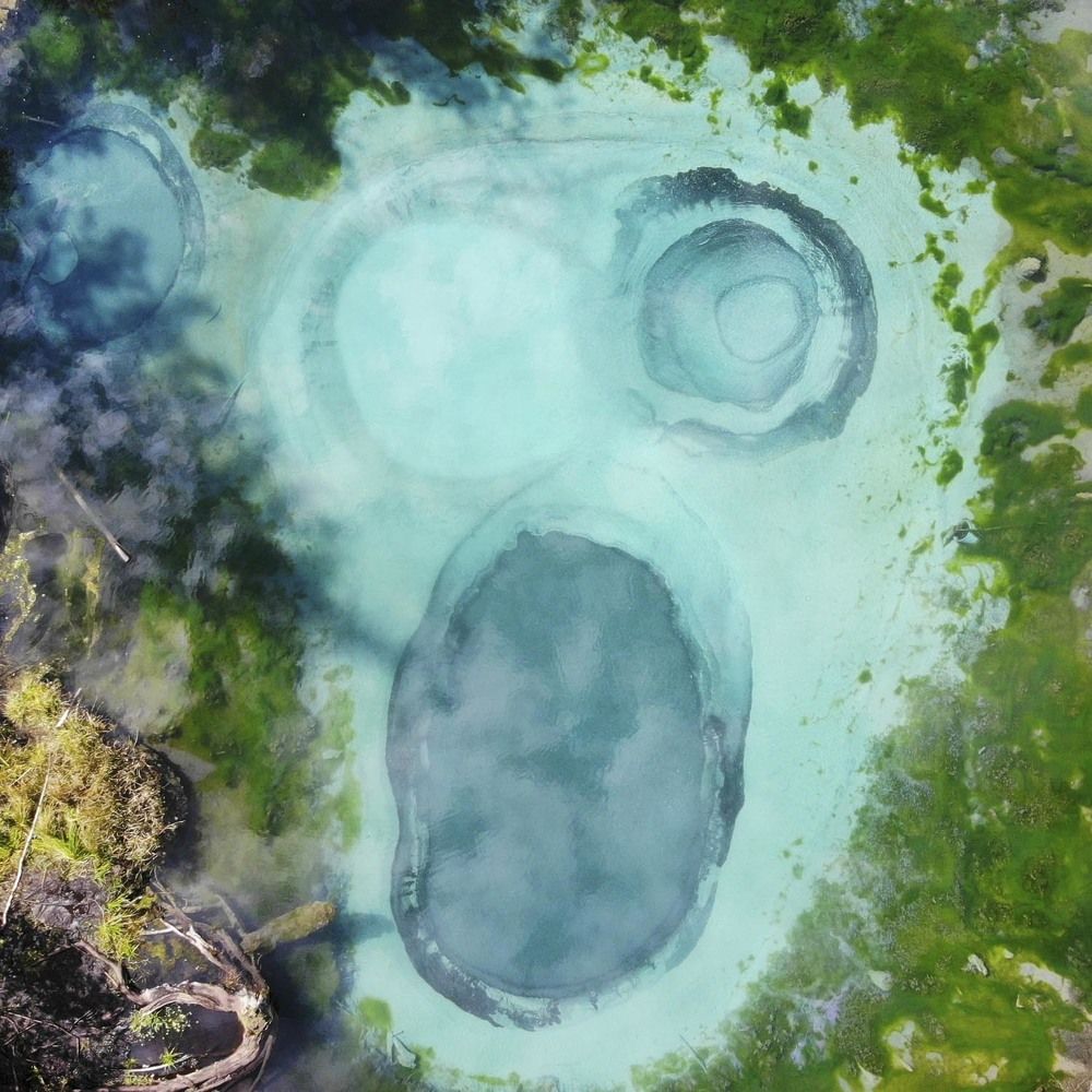 Крик ("Мунк")