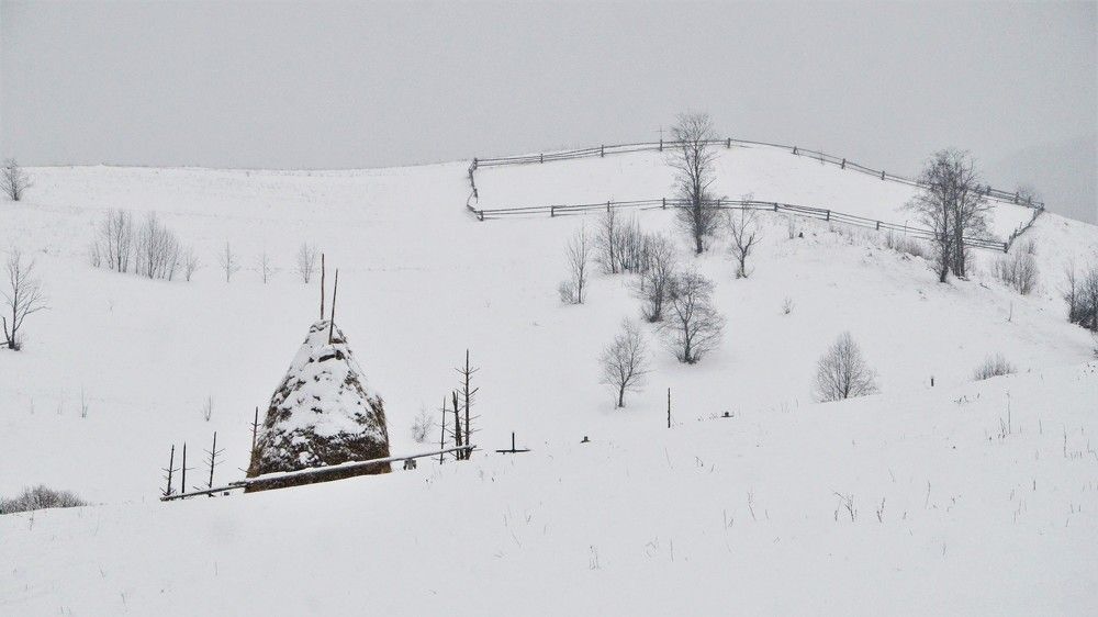 Photograph by Андрей Телибаев