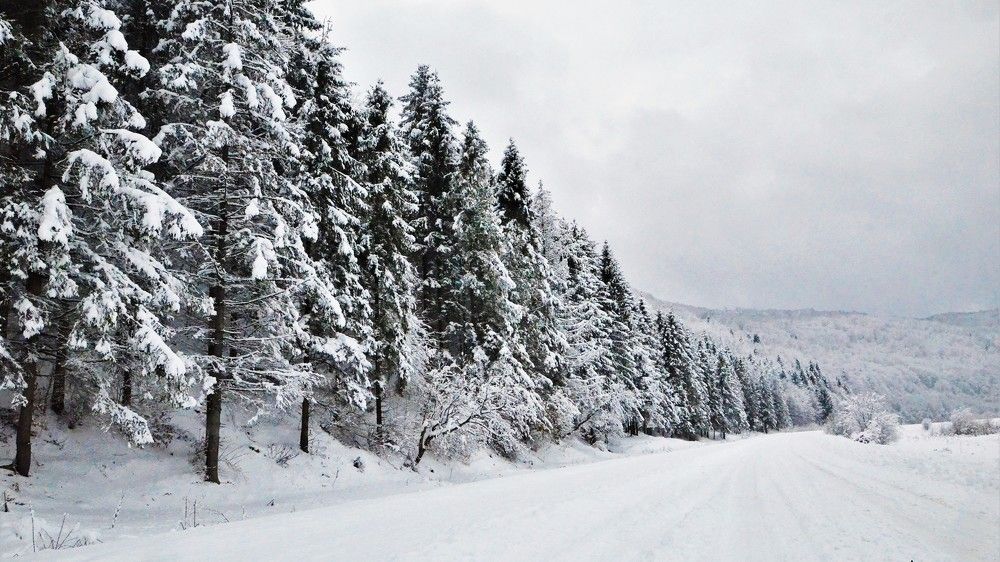 Photograph by Андрей Телибаев