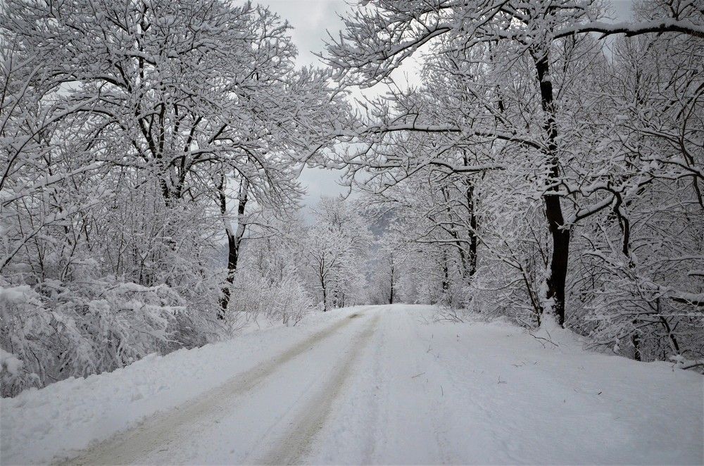 Photograph by Андрей Телибаев